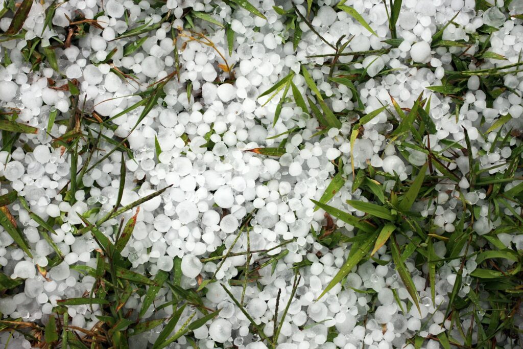 Grêlons recouvrant une pelouse après un orage de grêle