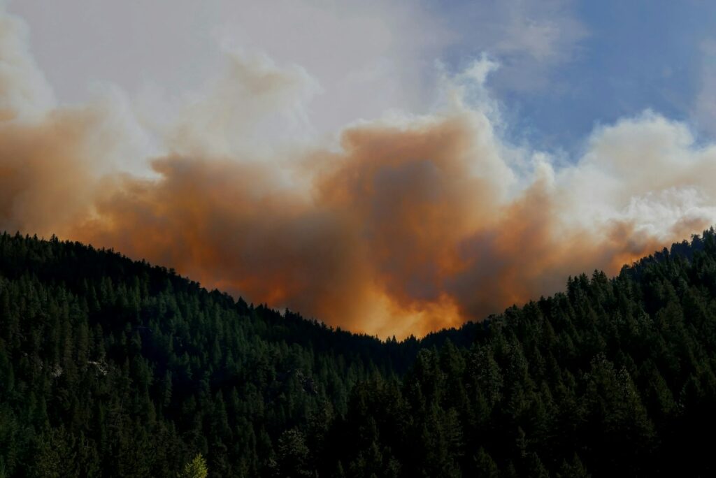 Fumée d’un incendie de forêt s’élevant au-dessus d’une colline boisée